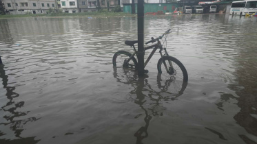 Flood Ctg 2