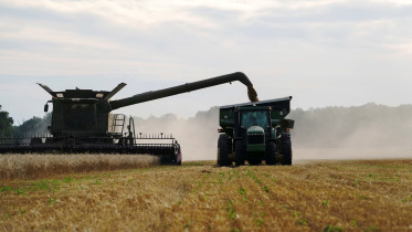 US Wheat