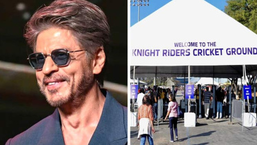 knight riders ground