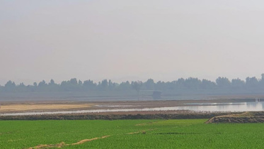 স্টার ফাইল ছবি।