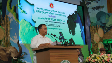 pm tree plantation