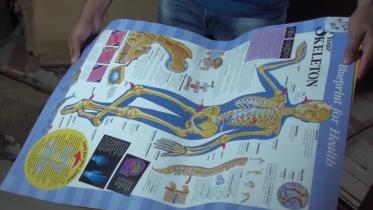 Anatomical-Chart.jpg