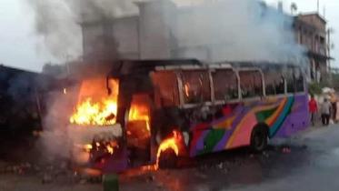 bus2.jpg