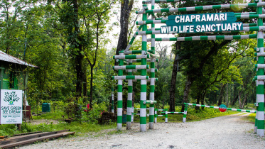 Chapramari
