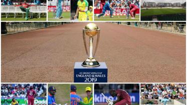 world cup