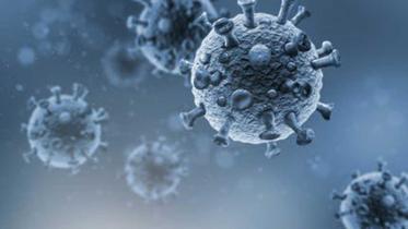 coronavirus_collected_0.jpg