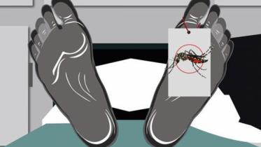 dengu-graphics-1_1_2_0.jpg