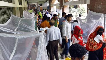 dengue (2).jpg