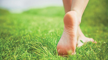 Feet