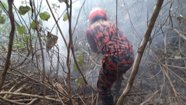 fire-sundarbans.jpg