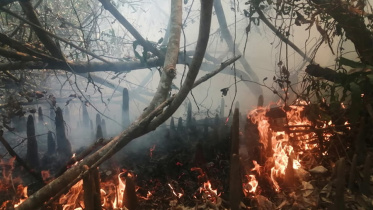 FIRE.jpg