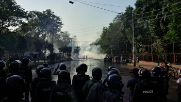 hartal1.jpg