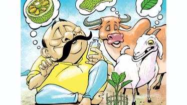 Jackfruit cartoon