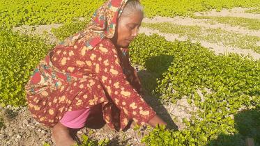 Lalmonirhat-22.jpg