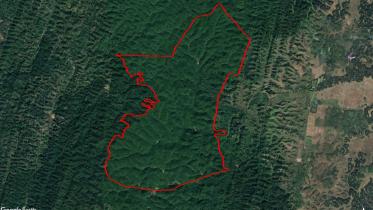 Reserve Forest.jpg
