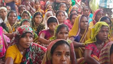 Tea labourers