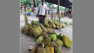 gaajiipur_kaantthaal.jpg