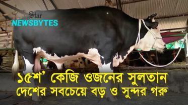 thumbnail-newsbytes-yt.jpg
