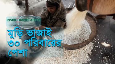 inside-bd-thumbnail-yt.jpg