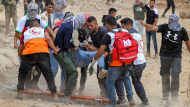 phalestine.jpg