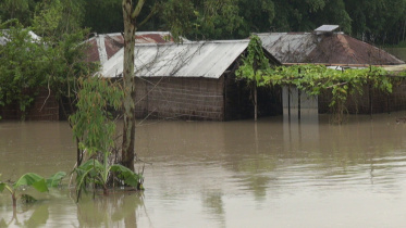 kurigram-1.jpg