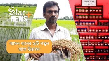 aruni_news_.jpg