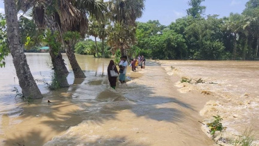 feni_flood.jpeg