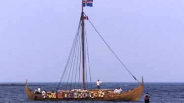 vikings.jpg