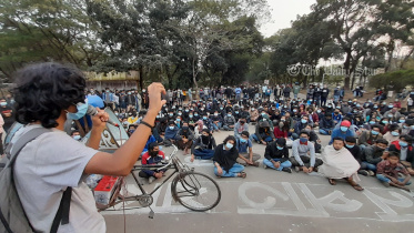 sust_255.jpg