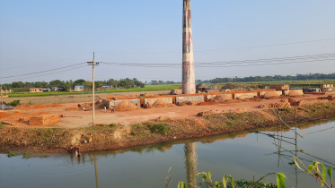 brick_kilns_operating_illegally_pic_04.jpg