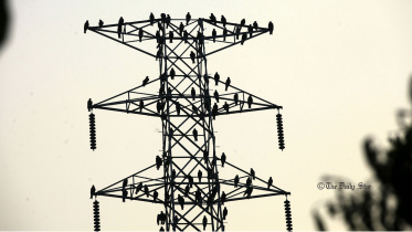 bird_25mar22.jpg