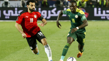 salah_mane.jpg