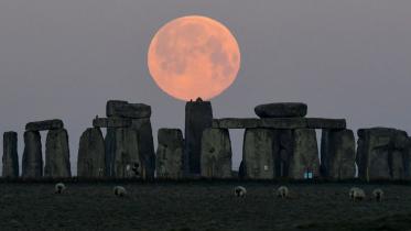 pink_moon.jpg