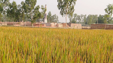 tangail_picture-001_with_news.jpg