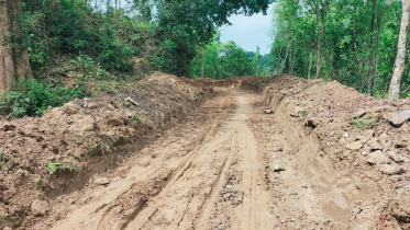 lathitila_forest_pic.jpg