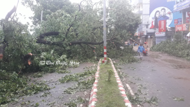 thakurgaon.jpg