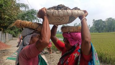 lalmonirhat_job_scheme_project_1.jpg