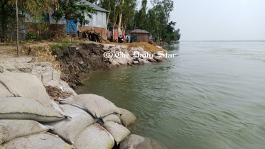 tista.jpg