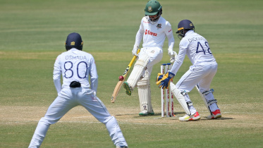 Mominul Haque