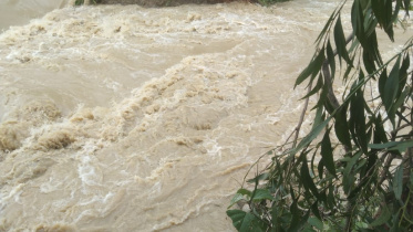 sylhet_zakiganj_dyke_photos_3.jpeg