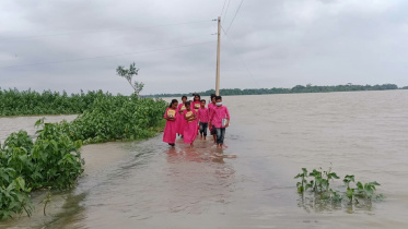 flood.jpg