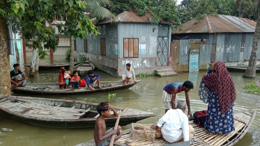 flood_scene.jpg