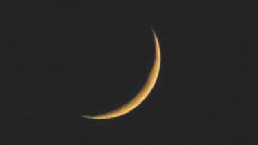 moonj-web.jpg