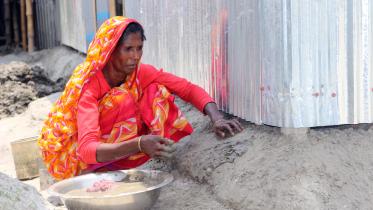 rangpur_gangachara_02.jpg