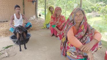 kurigram_vgf_rice.jpg