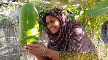 kurigram-chemical-free-vegt-01.jpg