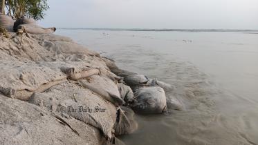 tista-111.jpg