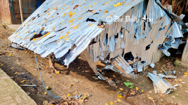 natore-2.jpg