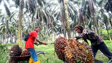 expat_workers_malaysia.jpg