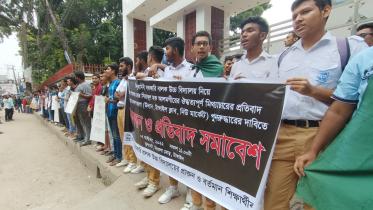 tangail_picture-2.jpg